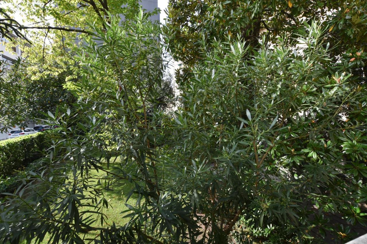Lake Como Holiday Apartments Ngoại thất bức ảnh